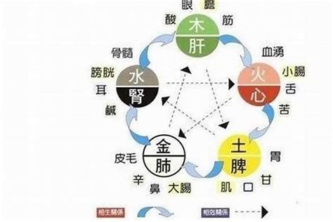 五行缺水數字